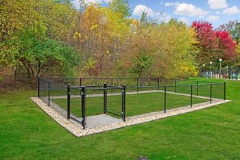 Bark park
